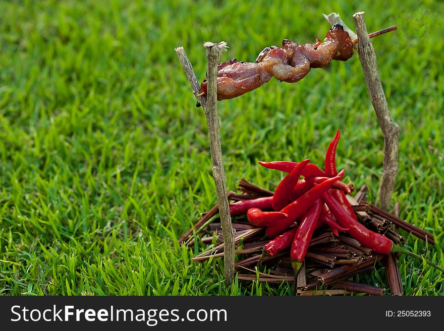 Barbecue on a stick with red pepper, depicting the fire.