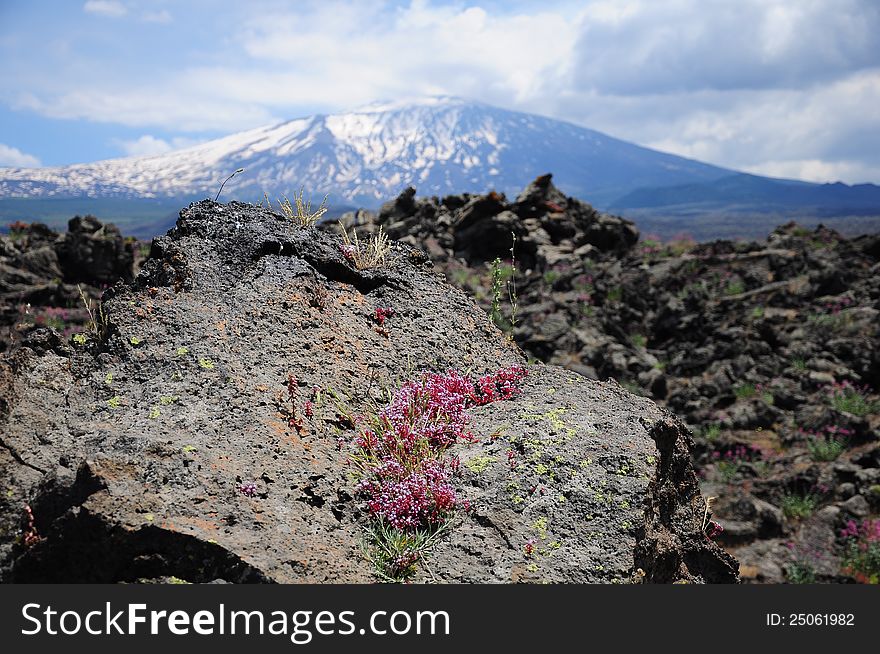 Volcano Etna.