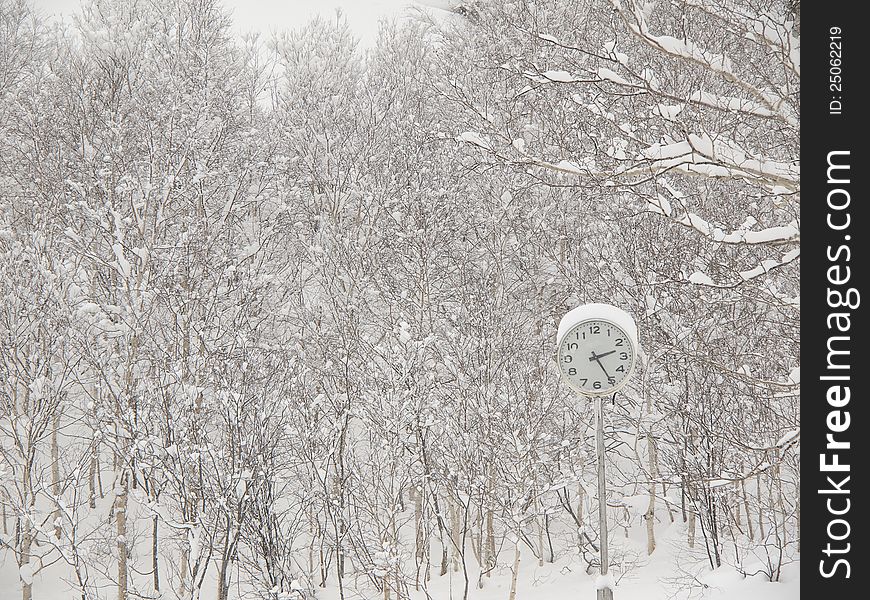 Clock in the park in winter