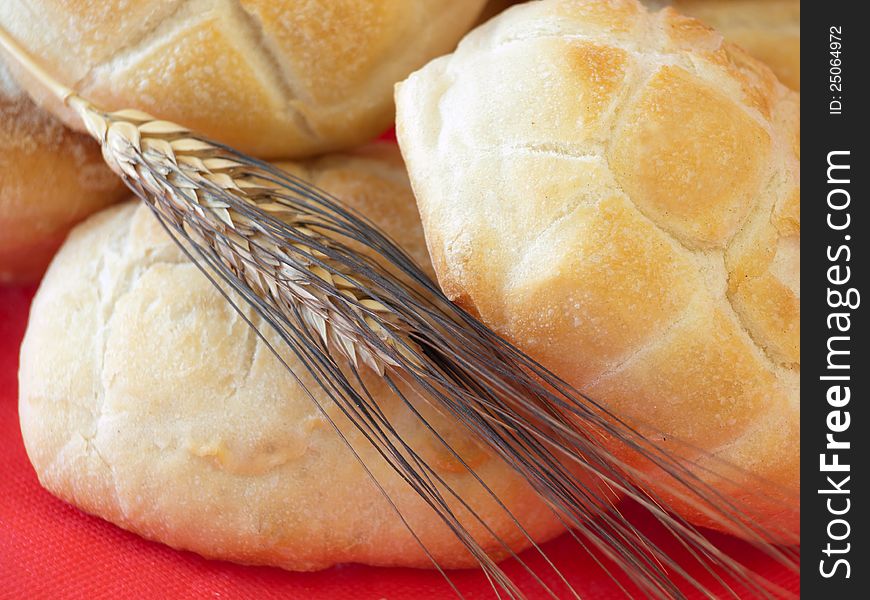 Pane Fresco - Freshly Baked Bread