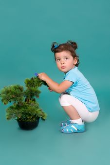 Girl Sitting Next To A Decorative Pine Royalty Free Stock Images Girl Sitting Next To A Decorative Pine Royalty Free Stock Images