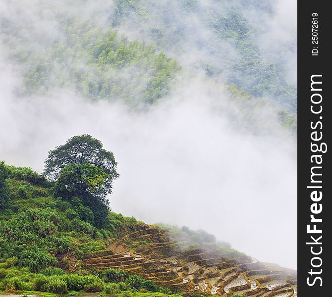 Rice terraces in southern china