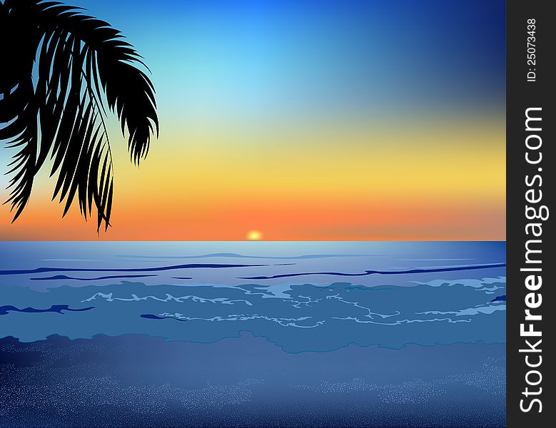 Beach and sea in the evening. With the shadow of palm trees. Beach and sea in the evening. With the shadow of palm trees