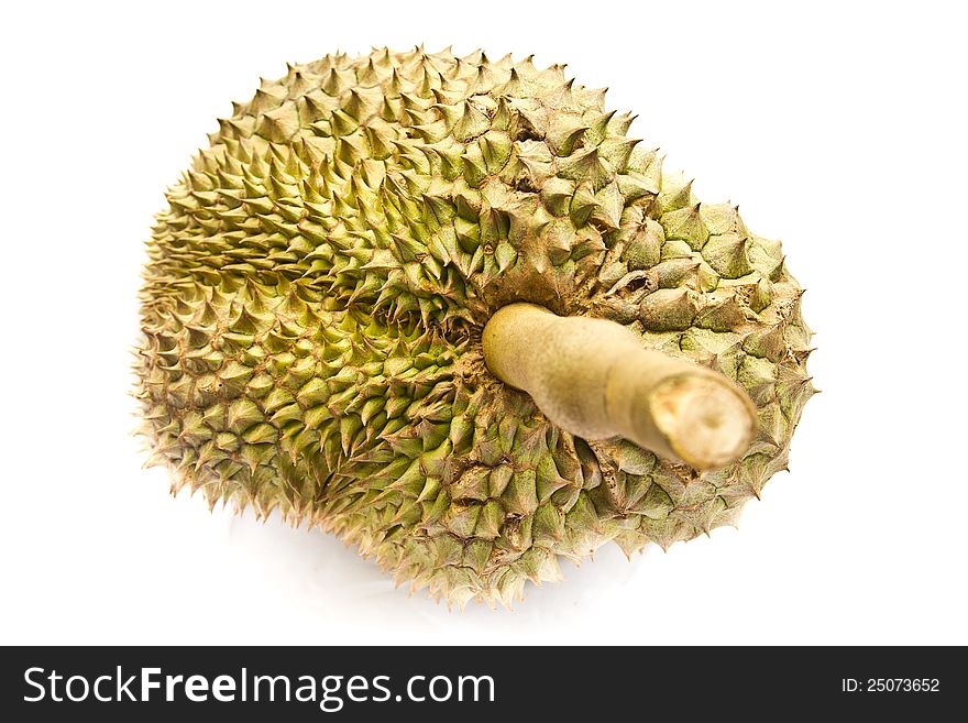 Durian Fruit