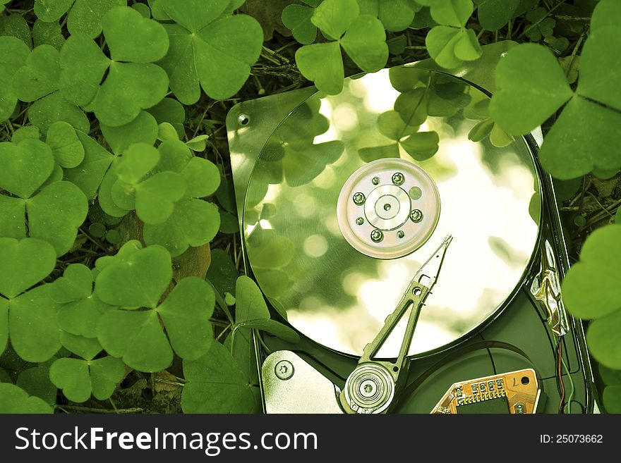 Hdd In Grass