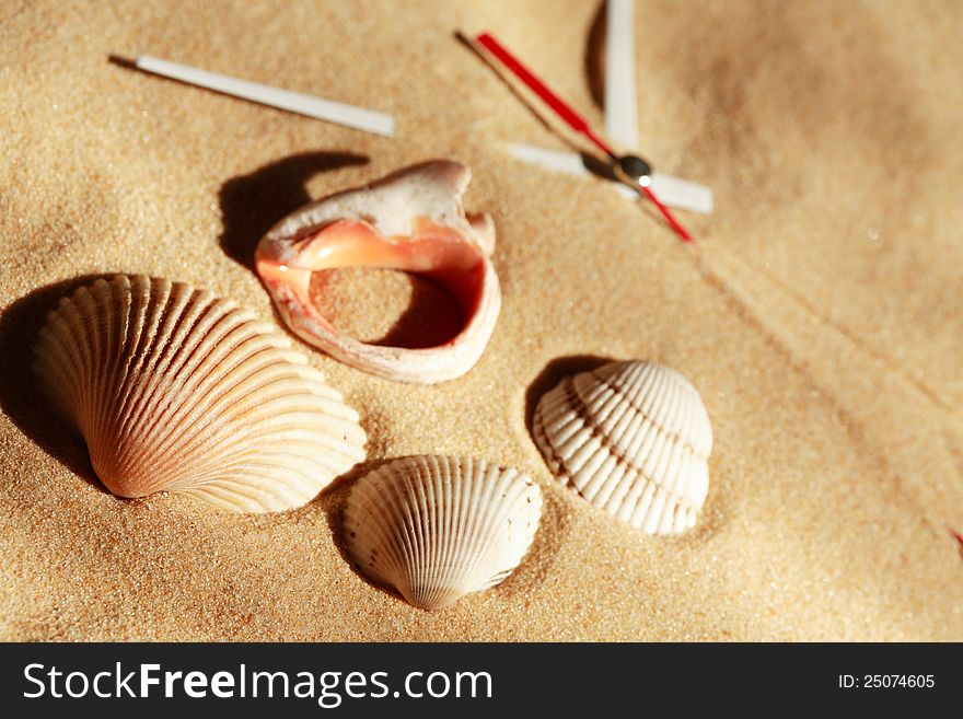 Time concept. Few seashells near clock hands on sand surface. Time concept. Few seashells near clock hands on sand surface