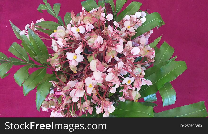 Beautiful Flower Vase With Wild Flowers Made By Poor School Children