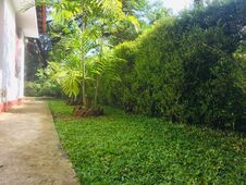 Nature S Beauty Tour - The Beauty Of Sri Lanka - Home Garden Stock Photo