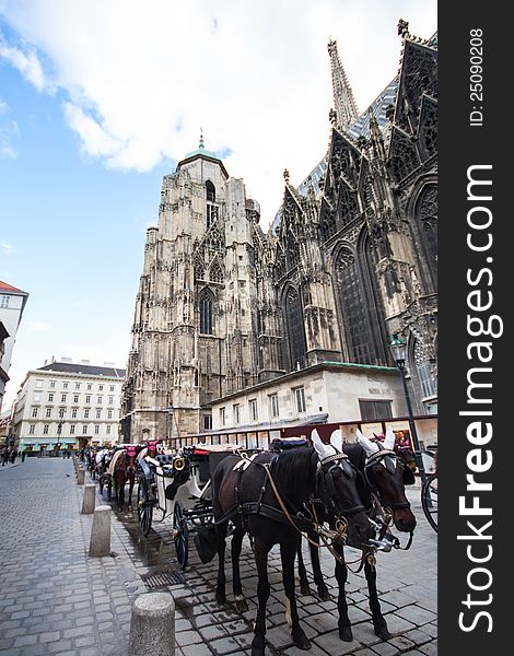 Horse carriage near St. Stephan Cathedral, Vienna, Austria