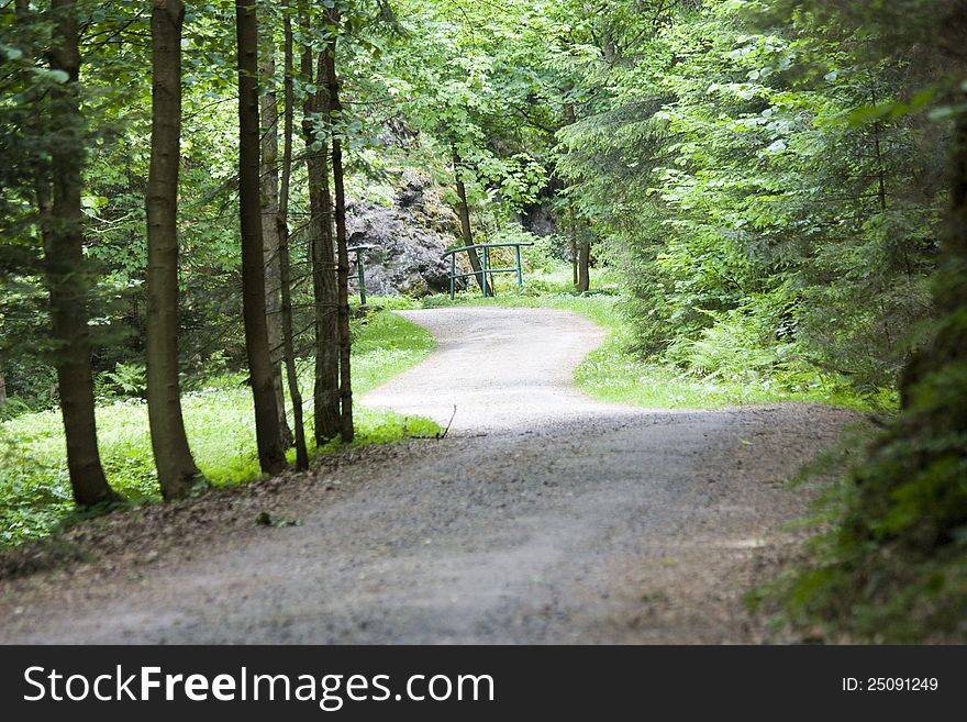 Old asphalt road across green forest. Old asphalt road across green forest