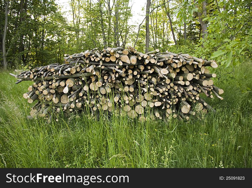 Pile of cut wood in green grass. Pile of cut wood in green grass
