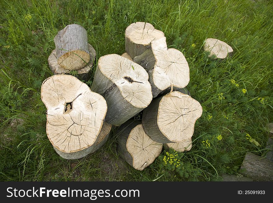 Wooden Blocks