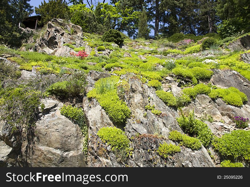 Ornamental garden on a rocky slope