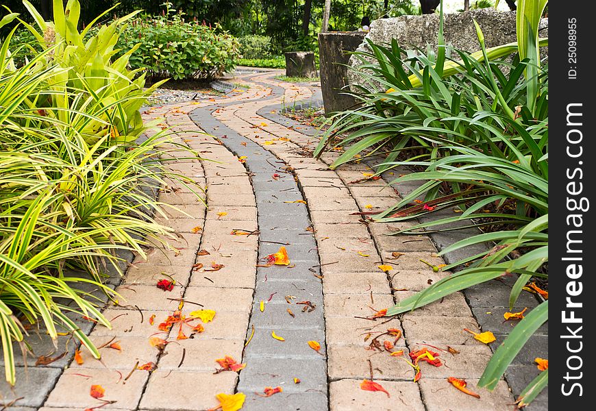 Pathway in public park in Bangkok. Pathway in public park in Bangkok