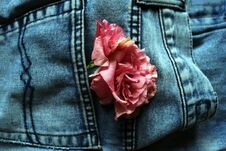 Flowers In The Back Pocket Of The Jeans. Flowers On The Jeans Background. Can Be Used As A Background Or As Greeting Card. Blue Je Stock Image