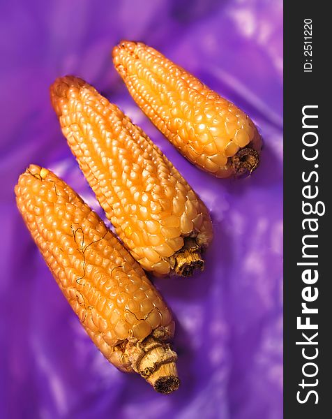 Three ears of corn lay on violet background. Three ears of corn lay on violet background