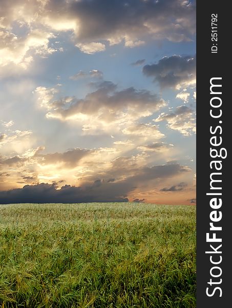 Wheat Field During Stormy Day