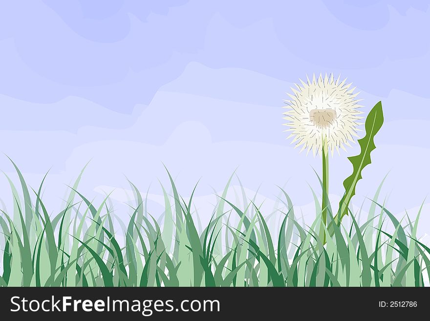 Dandelion