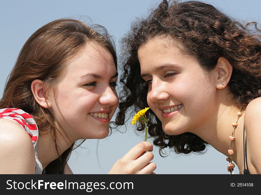 Two young beautiful girls face to face with dandelion. Two young beautiful girls face to face with dandelion