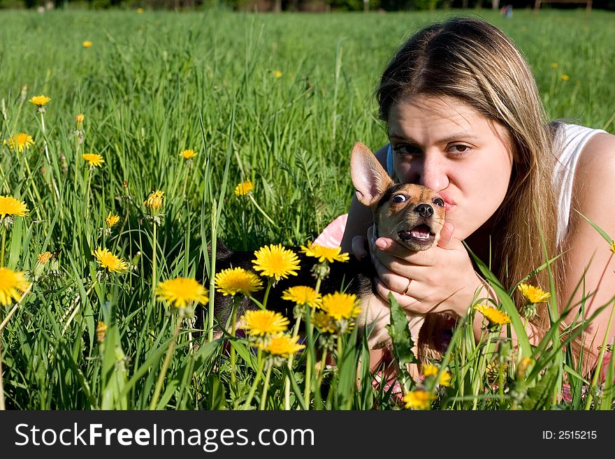 Girl kisses her small doggy on glade with dandelions. Girl kisses her small doggy on glade with dandelions