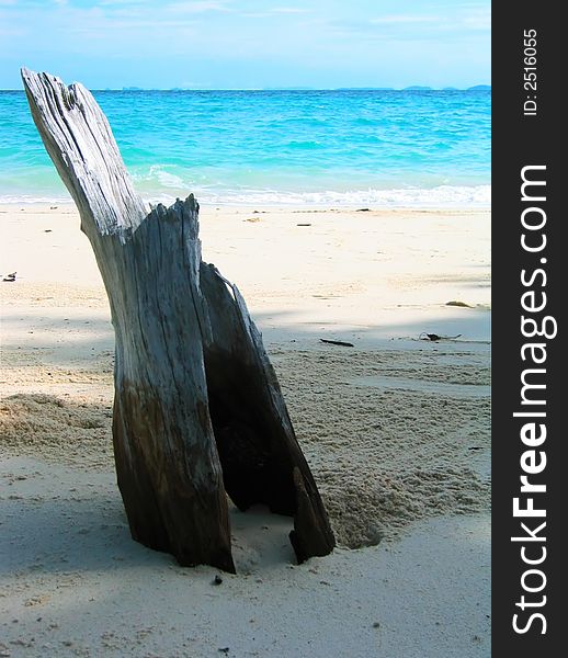 Deadwood at the beach in Laem Ton Sai, Koh Phi Phi Don, Thailand. The peaceful Indian ocean bathes the shore. Deadwood at the beach in Laem Ton Sai, Koh Phi Phi Don, Thailand. The peaceful Indian ocean bathes the shore.