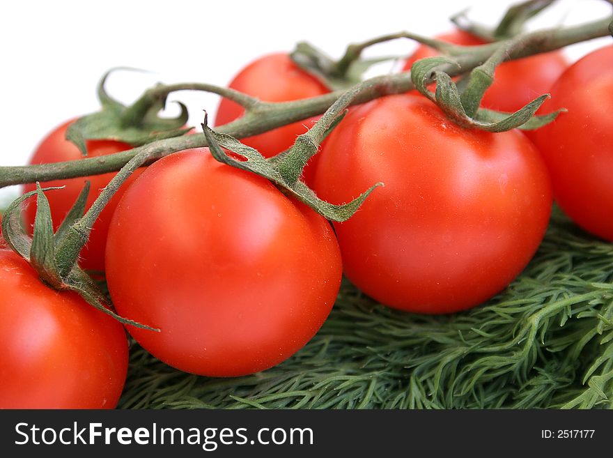 The branch of cherry-tomatoes on dill