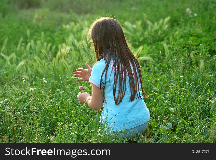 Young girl picking flowers in the grass. Young girl picking flowers in the grass.