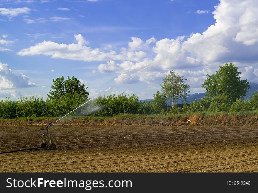 Field S Irrigation, Italy