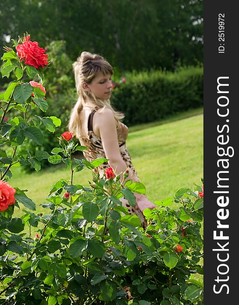 Blossoming roses and the woman on a background