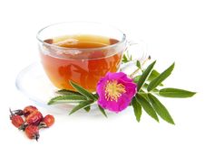 Rose Hip Tea Royalty Free Stock Images Rose Hip Tea Royalty Free Stock Images