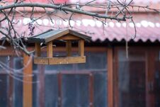 Bird Feeder Royalty Free Stock Photos