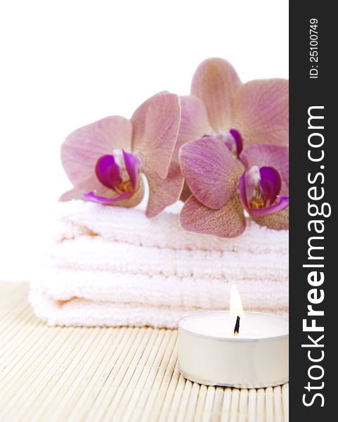 Orchid on Towel