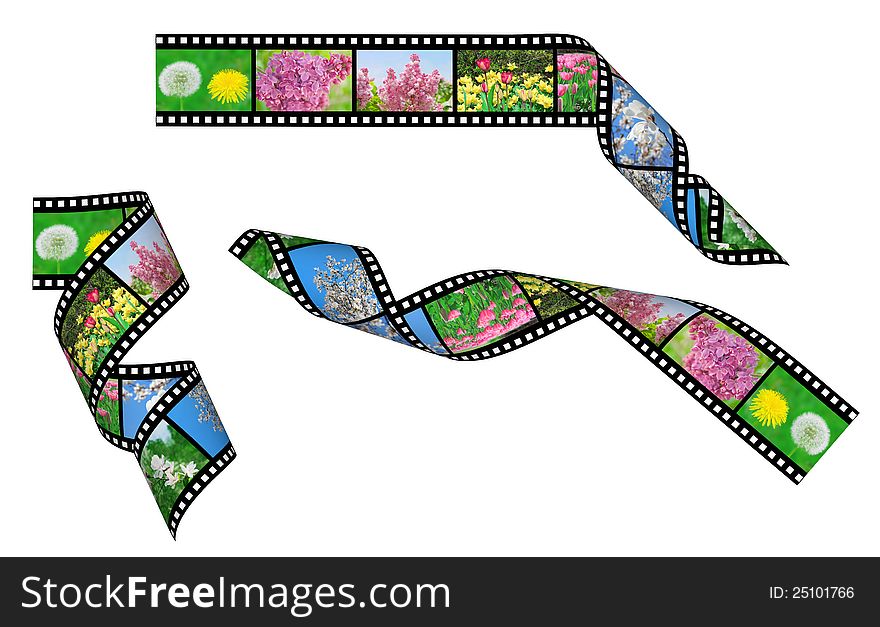 Film strips with a picture of flowers. Film strips with a picture of flowers