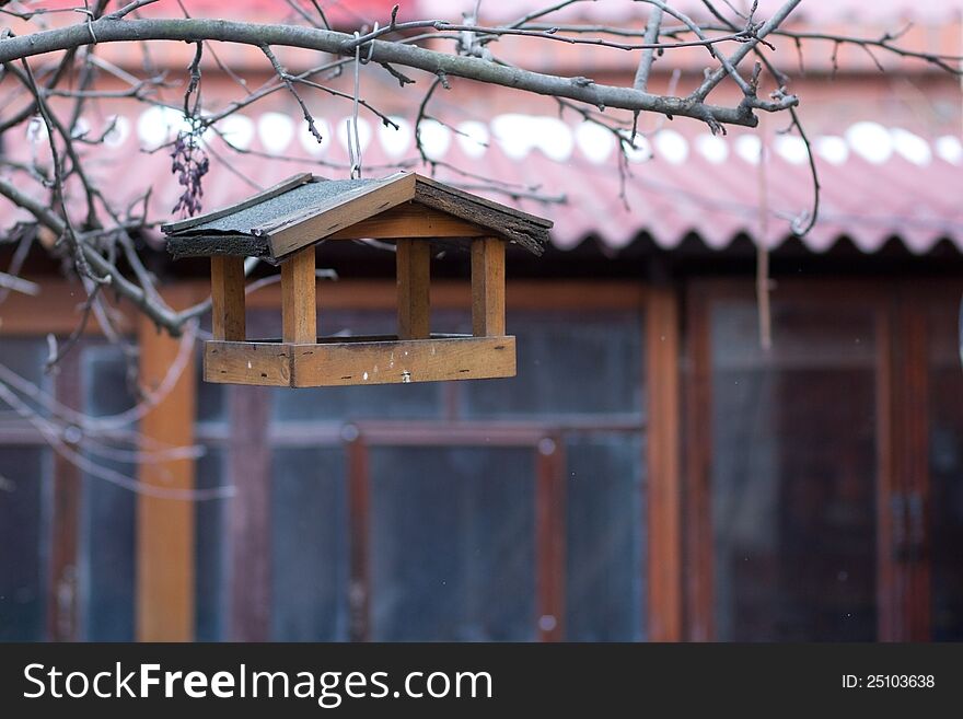 Feeder on a tree branch. Feeder on a tree branch