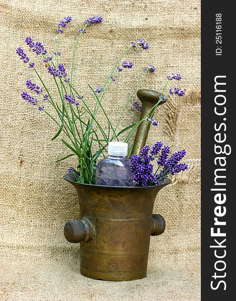 Lavender oil is used in spa treatments. Lavender oil is used in spa treatments