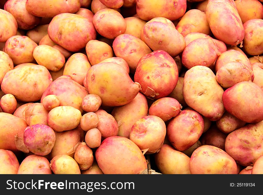 Sweet young potato in the full frame. Sweet young potato in the full frame