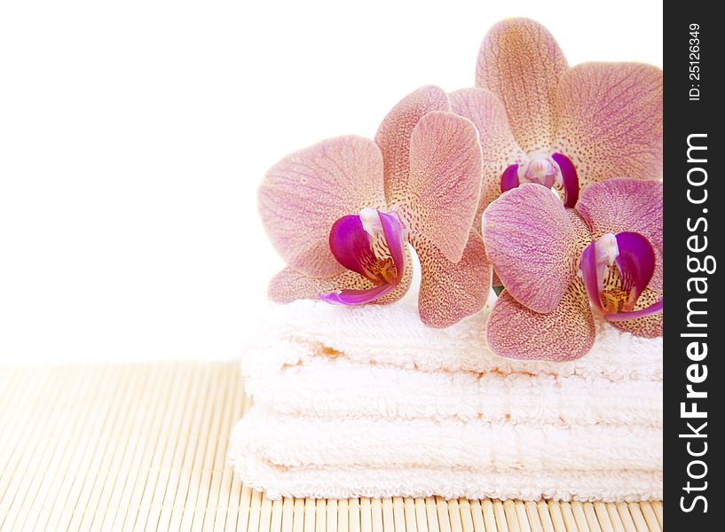 Spa theme with pink orchids and towels. Spa theme with pink orchids and towels