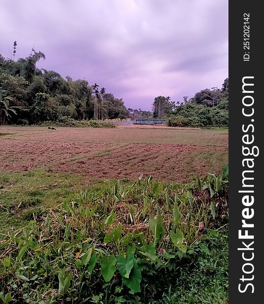 Indian Village farming land photo