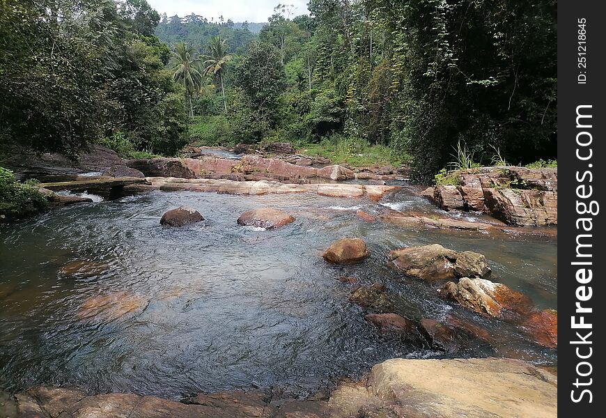 Gongala River Srilanka Nature TRAVEL