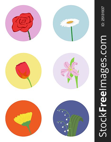 Vector clip-art with different flowers. Vector clip-art with different flowers