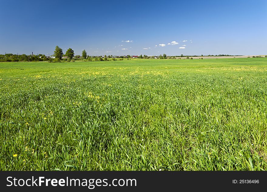 Green grass and blue sky background with country view. Green grass and blue sky background with country view