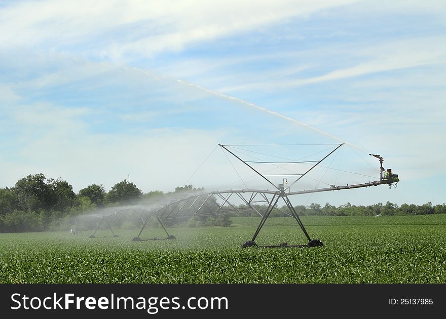 Agricultural irrigation system watering corn crop