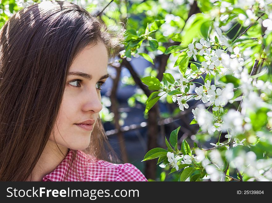 Beautiful young woman in pink blouse, among cherry blossom. Beautiful young woman in pink blouse, among cherry blossom