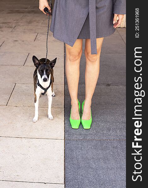 Optimistic Woman In Grey Suit Smiling And Playing With Dog.