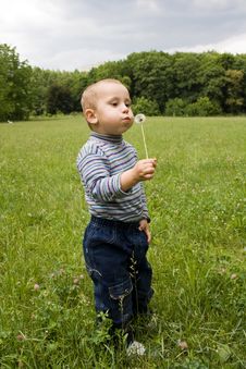 Cute Boy Blowing On Dandelion In Summer Ti Royalty Free Stock Photo Cute Boy Blowing On Dandelion In Summer Ti Royalty Free Stock Photo