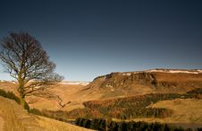 Lone Tree At Dovestone Reservoir In Peak Dist Stock Image Lone Tree At Dovestone Reservoir In Peak Dist Stock Image