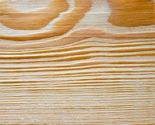 Cut Of A Tree Royalty Free Stock Images Cut Of A Tree Royalty Free Stock Images