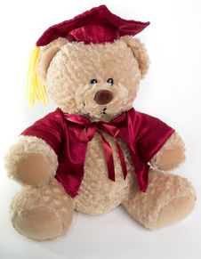 Graduation Teddy Bear Stock Images Graduation Teddy Bear Stock Images
