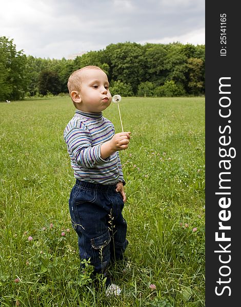 Beautiful cute boy in the park blowing on dandelion in summer time. Beautiful cute boy in the park blowing on dandelion in summer time