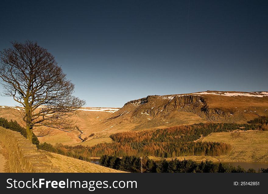 A lone tree without any leaves in autumn season at Dovestone Reservoir in the Peak District near greater Manchester. A lone tree without any leaves in autumn season at Dovestone Reservoir in the Peak District near greater Manchester.